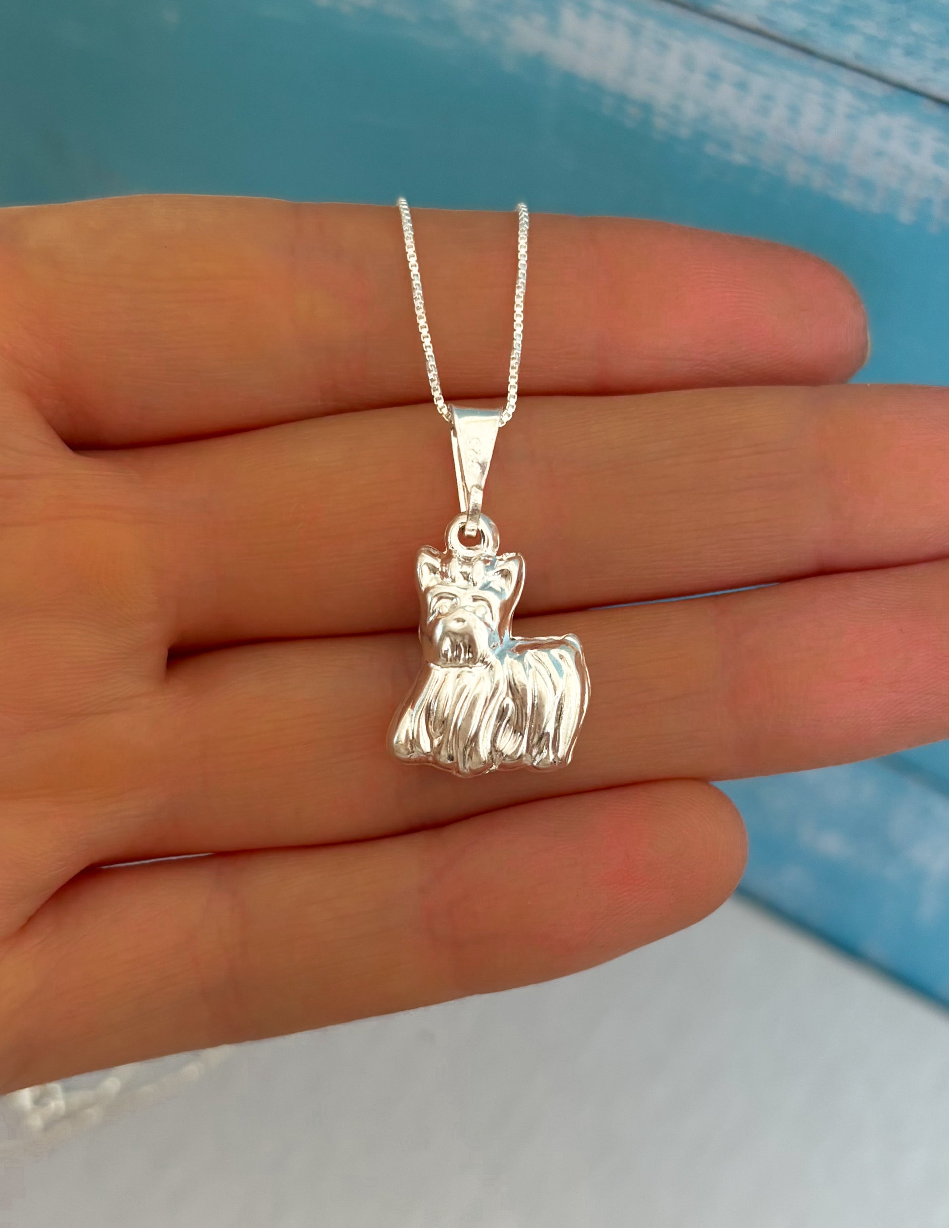 Collar Yorkie