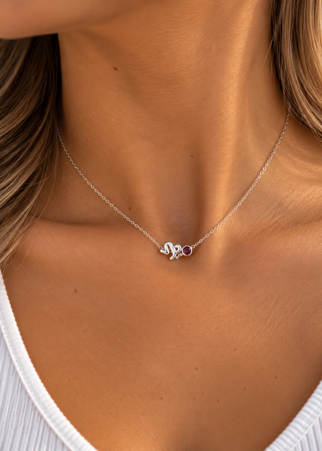 Capricornio Collar Plata 925
