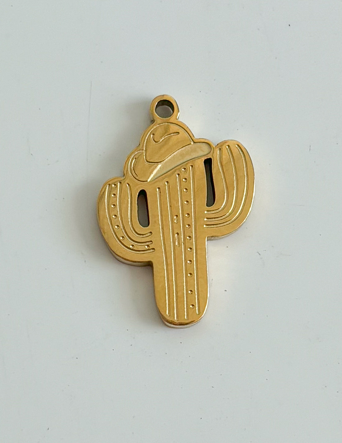 Charm cactus