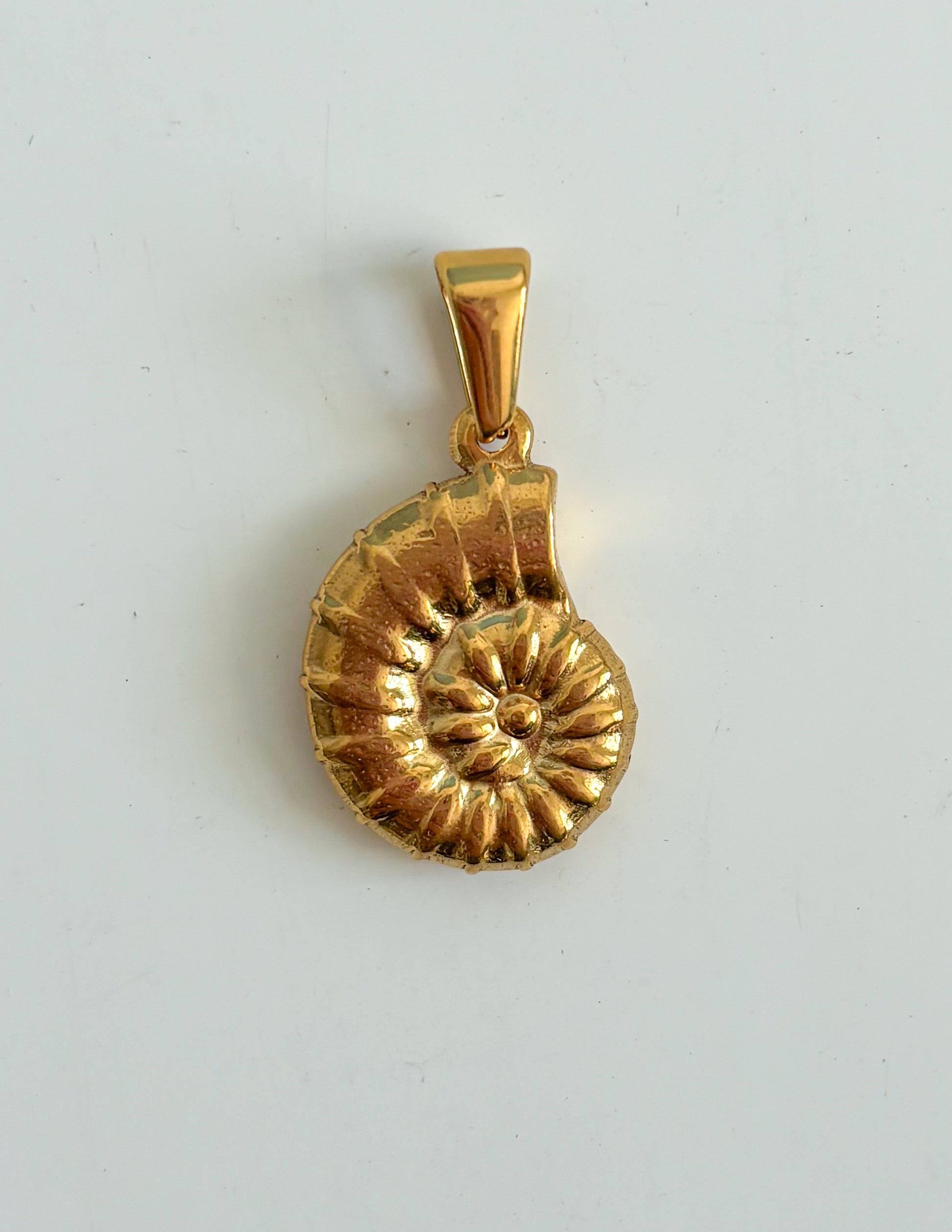 Charm concha de mar
