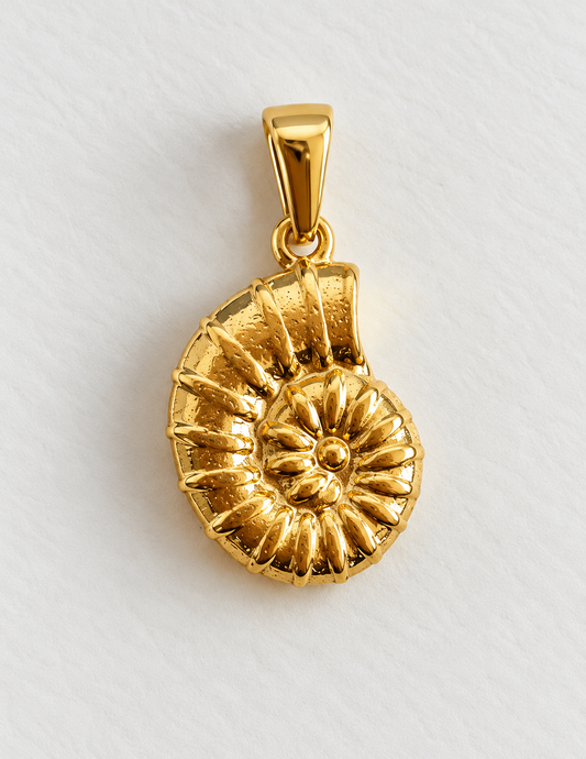 Charm concha de mar